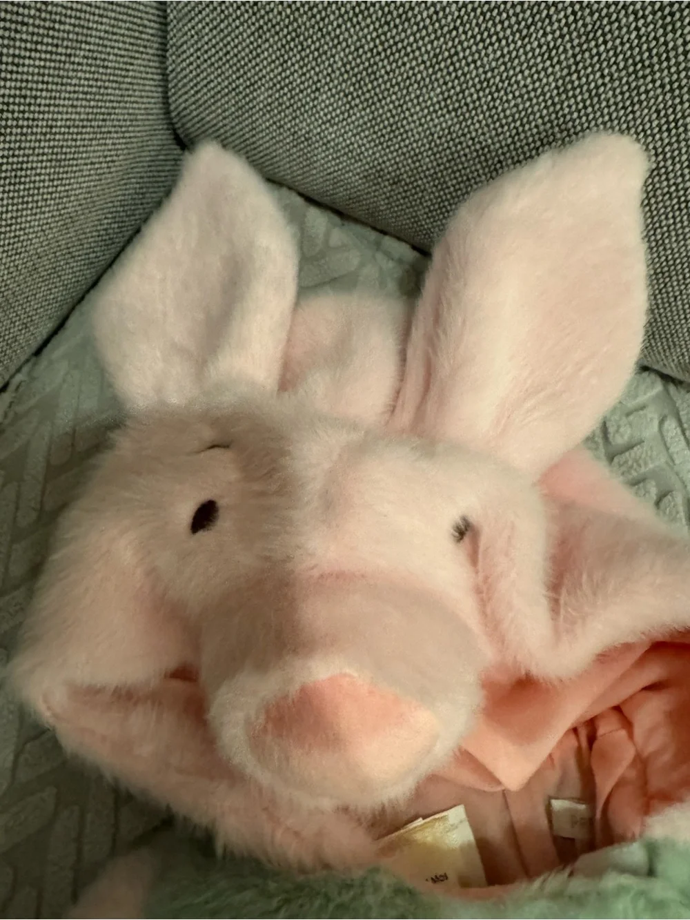 Pottery Barn Kids rare costume